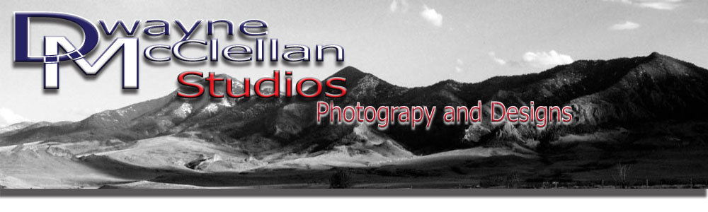 Dwayne McClellan Studios